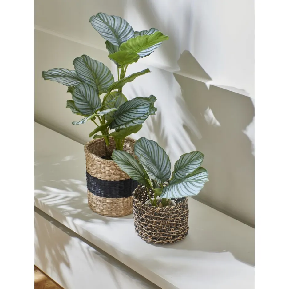 Pomax Plantes-MARMURA - plante artificielle en pot - synthétique / ciment - DIA 12 x H 22,5 cm - vert